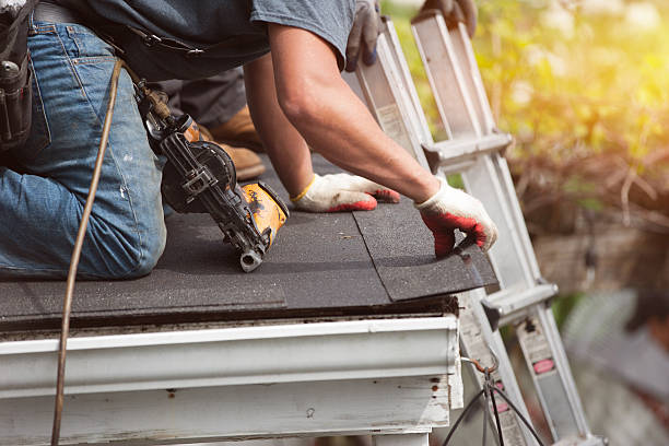Best Storm Damage Roof Repair  in Cohoe, AK